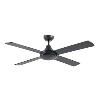 Ceiling Fans