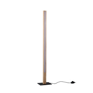 Lexi Rectara Floor Lamp