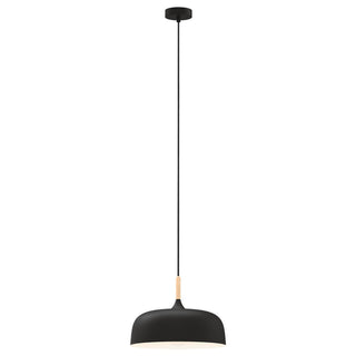 Mercator Olena 1Lt Light Pendant Light