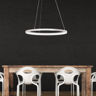 Oriel Lighting NEBULA.60 CCT Modern LED Halo Pendant