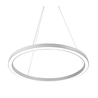 Oriel Lighting NEBULA.60 CCT Modern LED Halo Pendant