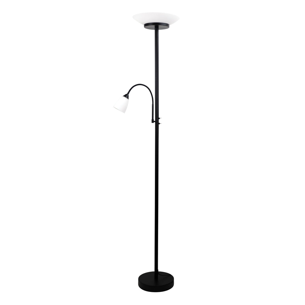 Portfolio floor lamp store with reading light