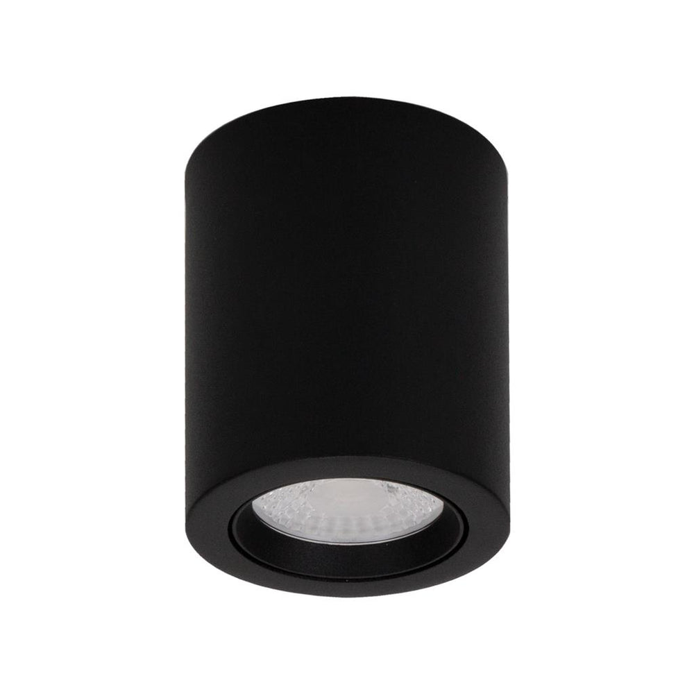 Domus Neo 10 Round 10w Surface Mount Tiltable Led Dimmable Ip20 Downli — Best Buy Lighting 3558